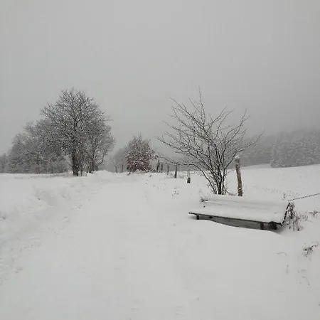 Anke * Braunlage